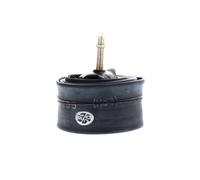 Cámara de aire Schwalbe 16x1.75-2.50 - Presta - Schrader ( 16 x 1.75-2.50 / Schrader 40 mm )