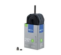 Schwalbe