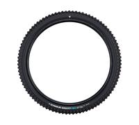 Schwalbe Cubierta plegable Tacky Chan Gravity Pro Soft E-50 TLR 29" negro