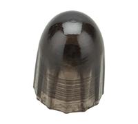 Schwalbe Tapón de válvula