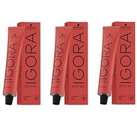 Schwarzkopf - Tinte Permanente Igora Royal 1-0 Negro Natural 60 ml
