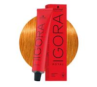 Schwarzkopf Professional IGORA ROYAL Permanent Color Creme 9-7 Rubio Extra Claro Tubo Cobre 60 ml