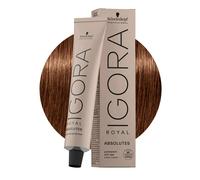 Schwarzkopf Igora Royal Absolutes 6-60 Rubio Oscuro Chocolate Natural 60ml