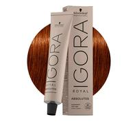 Schwarzkopf Igora Royal Absolutes 6-70 Rubio Oscuro Cobre Natural 60ml
