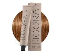 Schwarzkopf Igora Royal Tinte para pelo premium, 1 paquete de 60 g