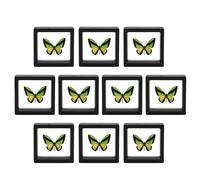 Schwebender Münzständer | 10-teiliges Set mit transparenten Rahmen | Elastische Präsentationsbox für Medaillen, Schmuck, Wertmarken, Auszeichnungen, Sammlerstücke und Erinnerungsstücke. Dekoration für