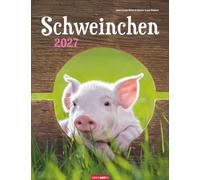 Schweinchen Kalender 2027: Wandkalender mit witzigen Fotos der liebenswerten Borstentiere. Ein Fotokalender, der Tierfreunde verzaubert. Tierkalender im Format 30 x 39 cm