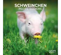 Schweinchen / Piggies 2027: Kalender 2027