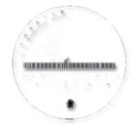 SCHWEIZER Escala de medición Escala Tech-Line D.25/2.5mm Escala dúo 2 SWITZERLANDERS