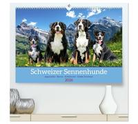 Schweizer Sennenhunde - Appenzeller - Berner - Entlebucher - Große Schweizer (hochwertiger Premium Wandkalender 2026 DIN A2 quer), Kunstdruck in Hochglanz: Die Vier Rassen der Schweizer Sennenhunde