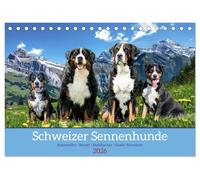 Schweizer Sennenhunde - Appenzeller - Berner - Entlebucher - Große Schweizer (Tischkalender 2026 DIN A5 quer), CALVENDO Monatskalender: Die Vier Rassen der Schweizer Sennenhunde