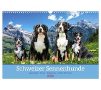 Schweizer Sennenhunde - Appenzeller - Berner - Entlebucher - Große Schweizer (Wandkalender 2026 DIN A3 quer), CALVENDO Monatskalender: Die Vier Rassen der Schweizer Sennenhunde