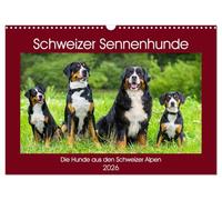 Schweizer Sennenhunde - die Hunde aus den Schweizer Alpen (Wandkalender 2026 DIN A3 quer), CALVENDO Monatskalender: Schweizer Sennenhunde in 13 faszinierenden Bildern