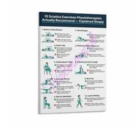 Sciatica Stretch Poster 10 Exercises Nerve Pain Management Decor | Demonstrates seated figure four knee to chest and spinal twist for symptom(Framed,12x18inch(30x45cm))