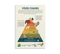 Science Educational Poster Set of Food Chains Food Webs and Ecosystem Chart for Biology Classroom Home School Learning Wall Decor(Framed,12X18inch(30X45cm))