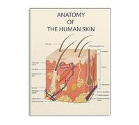 Scientific Skin Anatomy Poster Educational Wall-Art for Skincare Professionals Clinic Esthetics School Study(Unframed,08x12inch(20x30cm))
