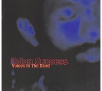 Scion Success - Voices in the Sand