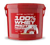 Scitec Nutrition 100% Whey Protein Vanilla 5000g