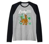 Scooby-Doo Lucky Dog Shamrocks Camiseta Manga Raglan