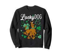 Scooby-Doo Lucky Dog Shamrocks Sudadera