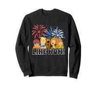 Scooby-Doo Summer Fire Works Sudadera