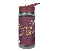 Scooli Botella para niños con diseño de Harry Potter, de plástico sin bisfenol A, aprox. 500 ml de capacidad, pajita integrada, ideal para la guardería y la escuela