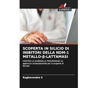 SCOPERTA IN SILICIO DI INIBITORI DELLA NDM-1 METALLO-¿-LATTAMASI: CONTRO LA KLEBSIELLA PNEUMONIAE Un approccio computazionale per la scoperta di farmaci