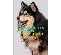 Scopri il tuo Cane:Tutto sulla razza: Lapinkoira