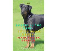 Scopri il tuo Cane:Tutto sulla razza: Manchester Terrier