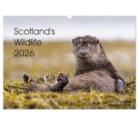 Scotland's Wildlife 2026 (Wall Calendar 2026 DIN A3 landscape), CALVENDO 12 Month Wall Calendar: The best of Scotland's iconic wildlife