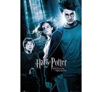 Scott Chorny Póster de Harry Potter y el prisionero de Azkaban (tamaño normal) (24 x 36 pulgadas) (por Poster Stop Online)