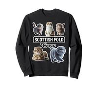 Scottish Fold Cat Crew Sudadera