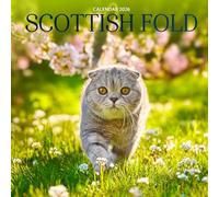 Scottish Fold Cats 2026 Calendar: Adorable & Charming Photography of Fold-Eared Cats