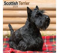 Scottish Terrier Calendar 2024 Square Dog Breed Wall Calendar - 16 Month