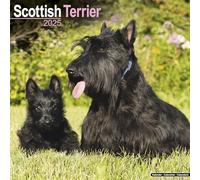 Scottish Terrier Calendar 2025 Square Dog Breed Wall Calendar - 16 Month