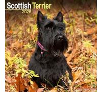 Scottish Terrier Calendar 2026 Square Dog Breed Wall Calendar - 16 Month