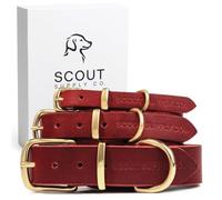Scout Supply - Collar clásico de cuero para perro, cuero grueso de grano completo, resistente al agua y al óxido de latón (rojo, grande)