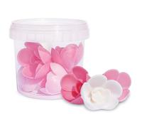 ScrapCooking 2264 Azymes-Maceta de 6 Rosas (8 x 9,5 x 9,5 cm), Ingredientes:, Multicolor, 8 x 9.5 x 9.5 cm, 6