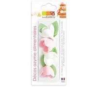 ScrapCooking - 4 rosas surtidas y 6 hojas verdes - blíster