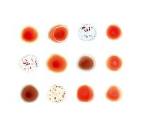 peter gabriel - And I´ll Scratch Yours (Deluxe)