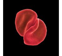 Scratch My Back by Peter Gabriel (2010-03-02)