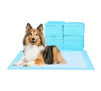 ScratchMe Almohadilla de entrenamiento impermeable súper absorbente para perros y cachorros, almohadilla para mascotas, 100 unidades, tamaño pequeño, 22 x 22 pulgadas, azul