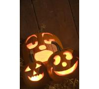SCREAMING IN THE SPOOKY SEASON And Other Tales of Mild Terror & Major Mishaps: 7 (Voyager Fiction: Stories for Every Season of the Imagination)