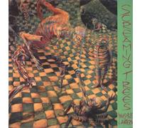 Screaming Trees - Invisible Lantern [Vinilo]