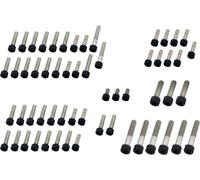 Screws4Bikes Juegos de tornillos BMW modelos R/K MODELOS BMW K NEGRO
