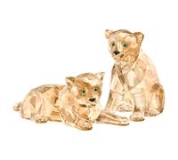 SCS Cachorros de Leopardo del Amur OS