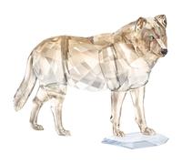 SCS Lobo gris OS