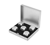 SCSpecial Dados de aleación de Aluminio 5 Piezas Dados de Metal portátiles de 16 mm con Caja Cuadrada Dados de 6 Lados para Beber Juego de Fiesta - Plata