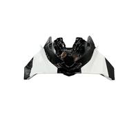 SCSTHRCRA Alerón de Motocicleta para B&MW S1000RR 2019-2022 Parabrisas De Motocicleta, ala De Viento Fija, Carenado, Alerón Aerodinámico Delantero, Aleta (C)