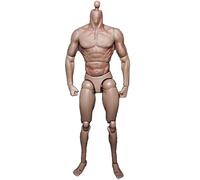 Sctecoau Figura de AccióN de MuñEca de Cuerpo Masculino de Hombro Estrecho una Escala 1/6 para TTM18 TTM19 Hot Toys y Modelo de Boceto de Cuerpo Humano